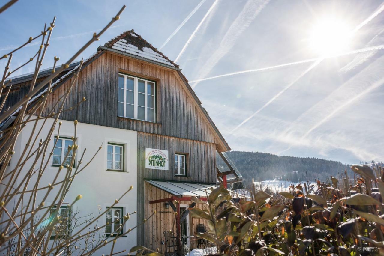 Haus Steinhof Villa Sankt Lorenzen ob Murau Exterior photo